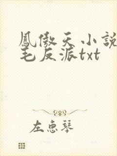 凤傲天小说里黄毛反派txt