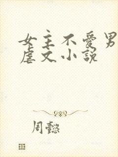 女主不爱男主的虐文小说