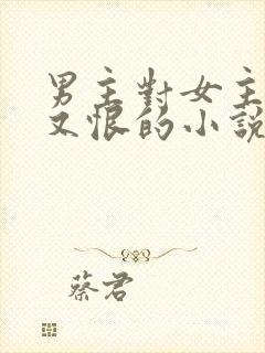 男主对女主又爱又恨的小说