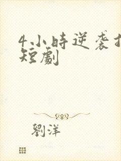 4小时逆袭指南短剧