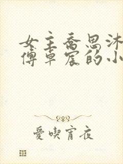 女主乔思沐男主傅卓宸的小说