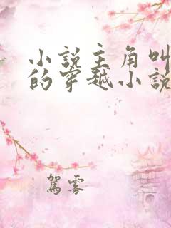 小说主角叫金峰的穿越小说