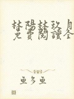 林阳林玖月小说免费阅读全文无弹窗