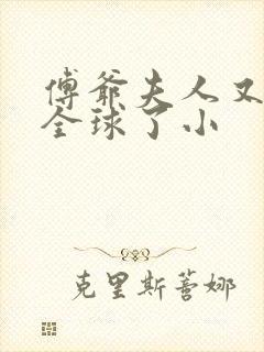 傅爷夫人又惊艳全球了小