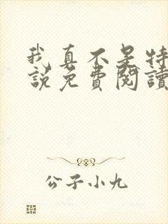 我真不是特务小说免费阅读