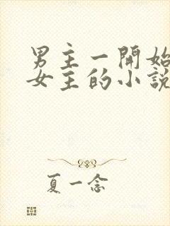 男主一开始嫌弃女主的小说