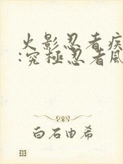 火影忍者疾风传:究极忍者风暴3