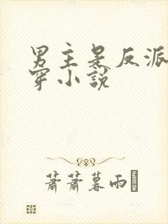 男主是反派的快穿小说