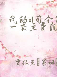 我的xl司令第一季免费观看动漫全集