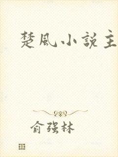 楚风小说主角