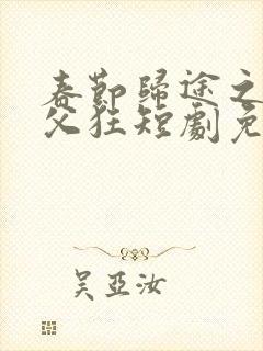 春节归途之子为父狂短剧免费观看