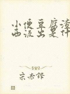 小便豆腐渣样东西流出是什么情况