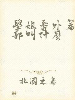 学姐番外篇第二部叫什么