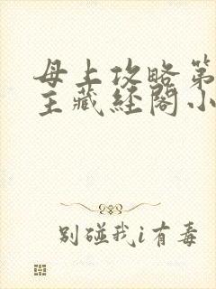 母上攻略第一版主藏经阁小说网