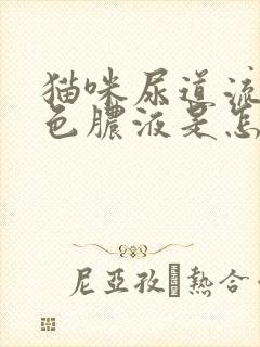 猫咪尿道流出黄色脓液是怎么回事