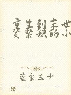 重生到末世,物资紧缺的小说