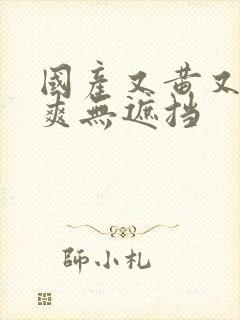 国产又黄又色又爽无遮挡