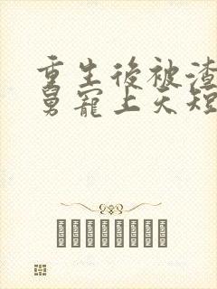 重生后被渣男舅舅宠上天短剧合集