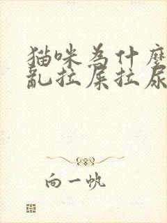 猫咪为什么忽然乱拉屎拉尿