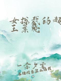 女总裁的超级兵王叶飞