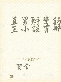 直男掰弯的双男主小说有哪些