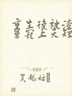 重生后被渣男舅舅宠上天短剧免费看