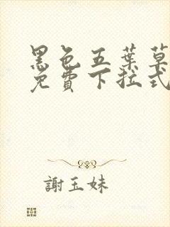 黑色五叶草漫画免费下拉式