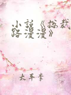 小说《总裁追妻路漫漫》