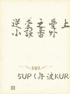 逆袭之爱上情敌小说番外