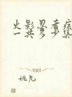 火影忍者疾风传一共多少集