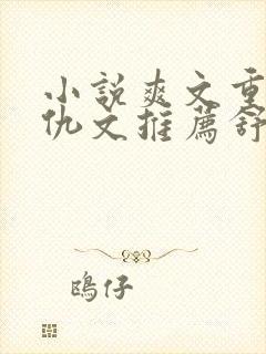 小说爽文重生复仇文推荐舒服女主