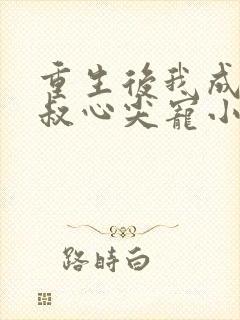 重生后我成了皇叔心尖宠小说