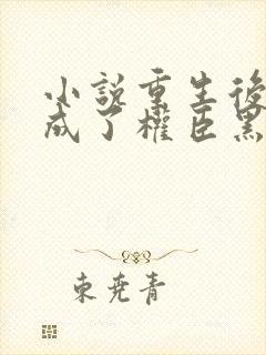 小说重生后,她成了权臣黑月光