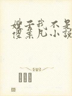 嫂子我不是真的傻叶凡小说免费阅读