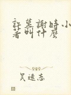 许慕谢时小说原著叫什么