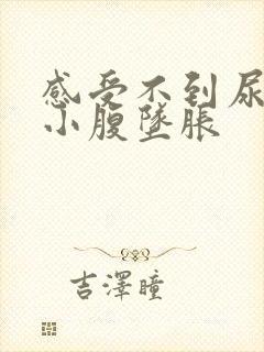 感受不到尿意,小腹坠胀