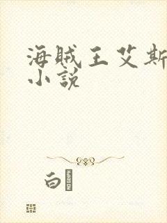 海贼王艾斯同人小说