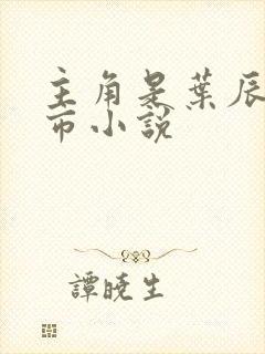 主角是叶辰的都市小说