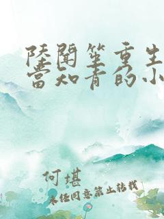 陆闻笙重生下乡当知青的小说