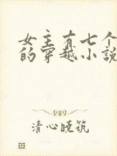 女主有七个夫君的穿越小说
