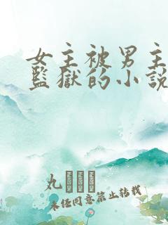 女主被男主送进监狱的小说