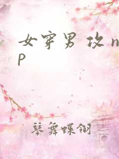 女穿男 攻 np
