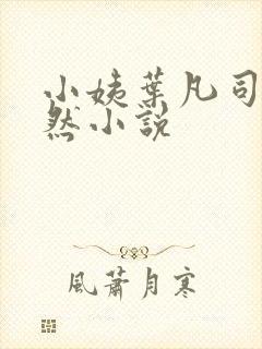 小姨叶凡司空嫣然小说