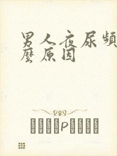 男人夜尿频是什么原因