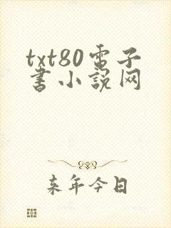 txt80电子书小说网