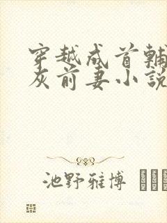 穿越成首辅的炮灰前妻小说