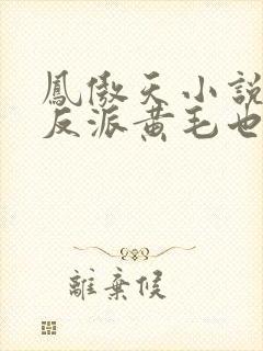 凤傲天小说里的反派黄毛也想要幸福