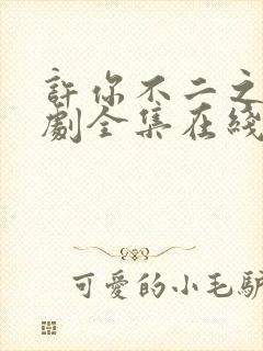 许你不二之臣短剧全集在线观看高清