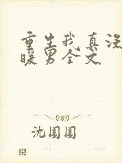 重生我真没想当暖男全文