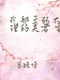 我那柔弱不能自理的夫君 电子书下载